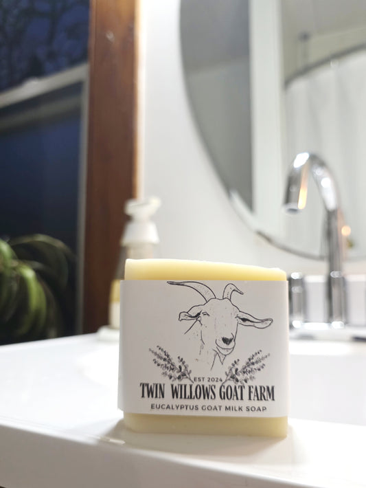Eucalyptus goats milk soap