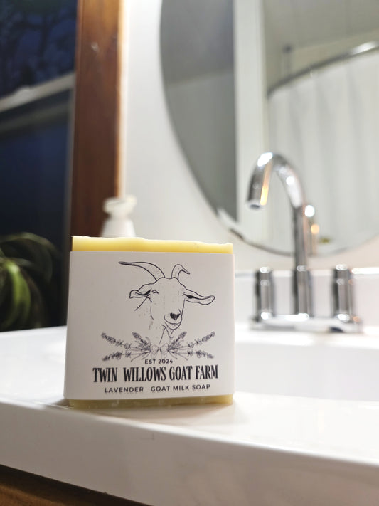 Lavender goats milk soap